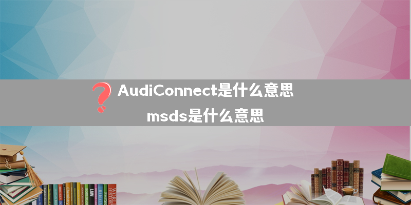 AudiConnect是什么意思？（msds是什么意思）