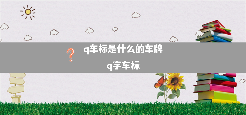 q车标是什么的车牌？（q字车标）