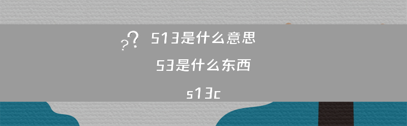 S13是什么意思  S3是什么东西？（s13c）