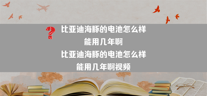 比亚迪海豚的电池怎么样 能用几年啊？（比亚迪海豚的电池怎么样 能用几年啊视频）