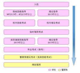 南岳报考驾照必须通过驾校吗， 告别繁琐流程！自主报考驾照成为新趋势！