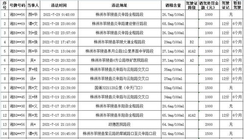 乾安普通酒驾记录怎样消除，普通酒驾记录可以通过以下方式消除：