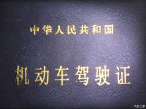 赫章什么都不会的人怎么考驾照，1. 学习基础知识：在开始考驾照之前，你需要了解一些基础知识，例如交通规则、道路标志、车辆部件等