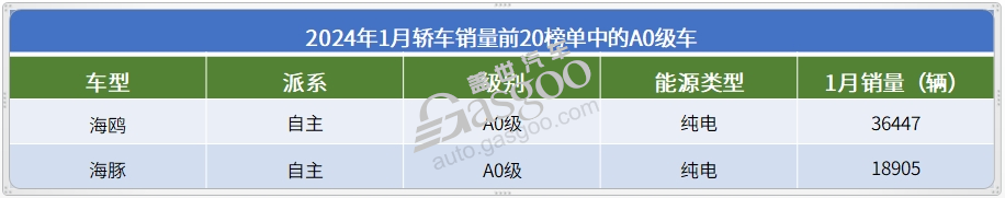 2024年1月轿车销量前20：又有“黑马”冲榜成功，油车开始反扑？